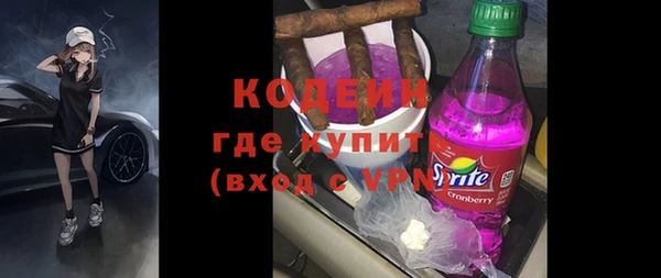 гидра Арсеньев