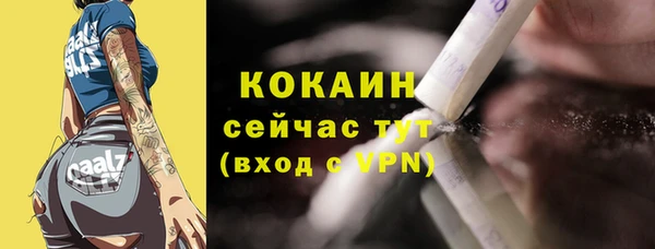 гидра Арсеньев