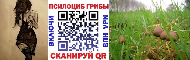Галлюциногенные грибы MAGIC MUSHROOMS Губкин